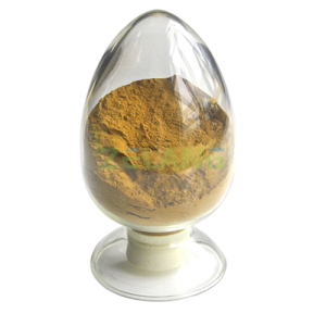 Powdered Rhodiola Rosea Extract Salidroside Buy